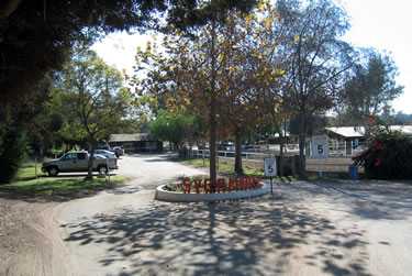 Sycamore Trails Entrance