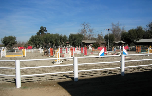 Back Jumping Arena