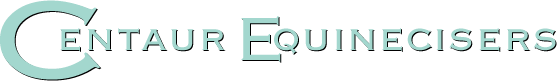 Equineciser Logo